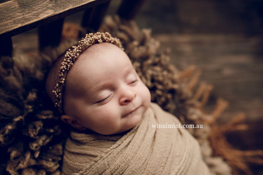 newborn baby family photographer tanha photography photograph photos photo babies gold coast brisbane the best family picture pictures tanha basile winni mini