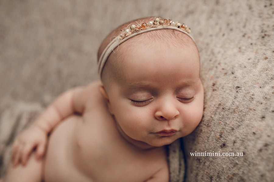 newborn baby family photographer tanha photography photograph photos photo babies gold coast brisbane the best family picture pictures tanha basile winni mini