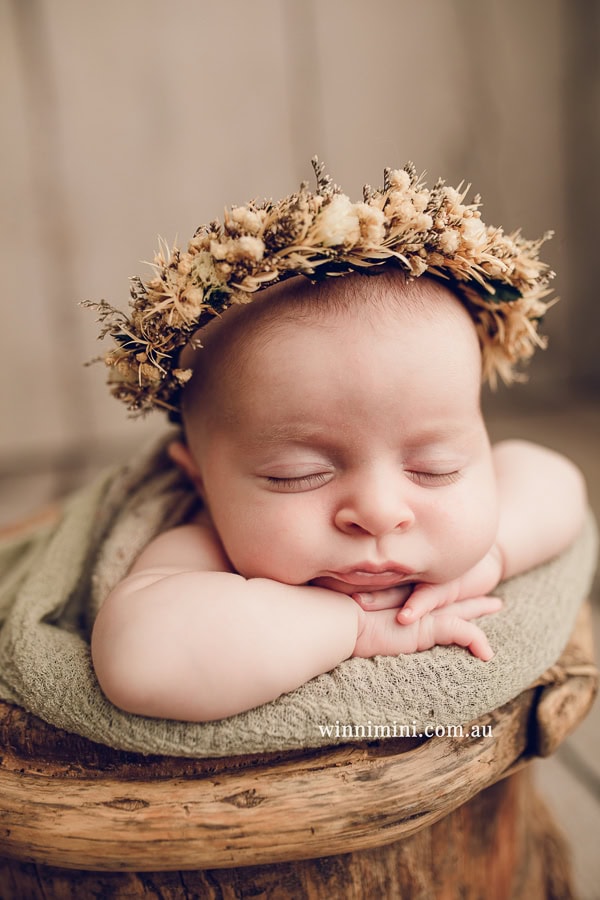 newborn baby family photographer tanha photography photograph photos photo babies gold coast brisbane the best family picture pictures tanha basile winni mini