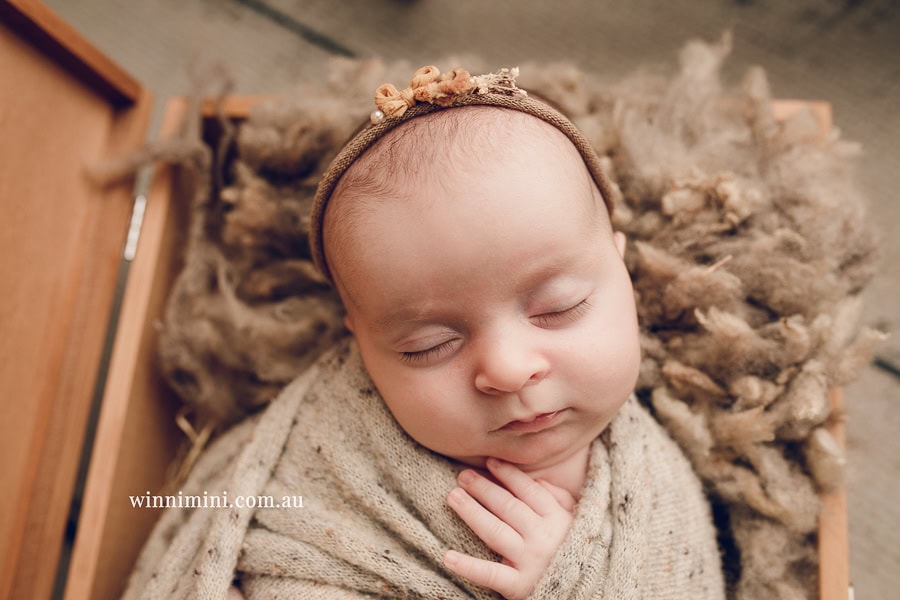 newborn baby family photographer tanha photography photograph photos photo babies gold coast brisbane the best family picture pictures tanha basile winni mini