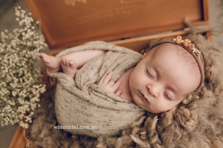 newborn baby family photographer tanha photography photograph photos photo babies gold coast brisbane the best family picture pictures tanha basile winni mini
