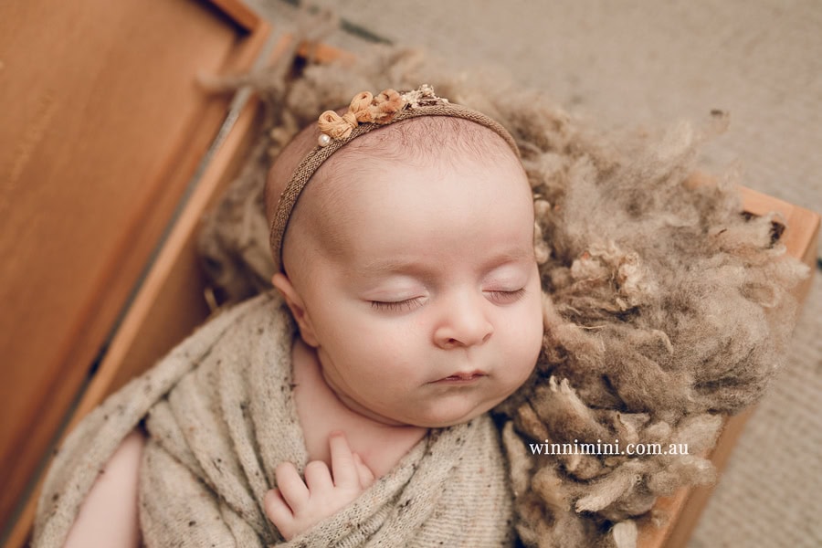 newborn baby family photographer tanha photography photograph photos photo babies gold coast brisbane the best family picture pictures tanha basile winni mini