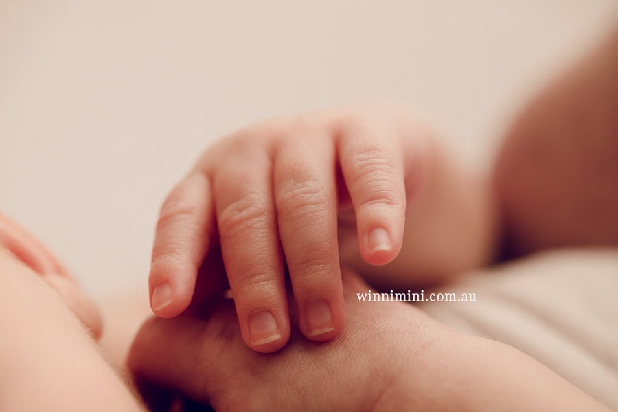 newborn baby family photographer tanha photography photograph photos photo babies gold coast brisbane the best family picture pictures tanha basile winni mini