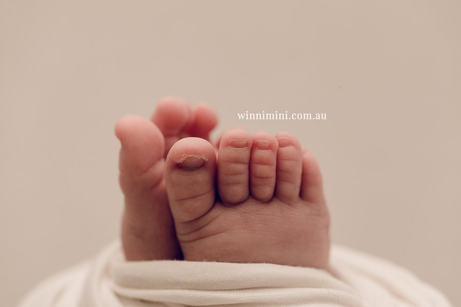 newborn baby family photographer tanha photography photograph photos photo babies gold coast brisbane the best family picture pictures tanha basile winni mini