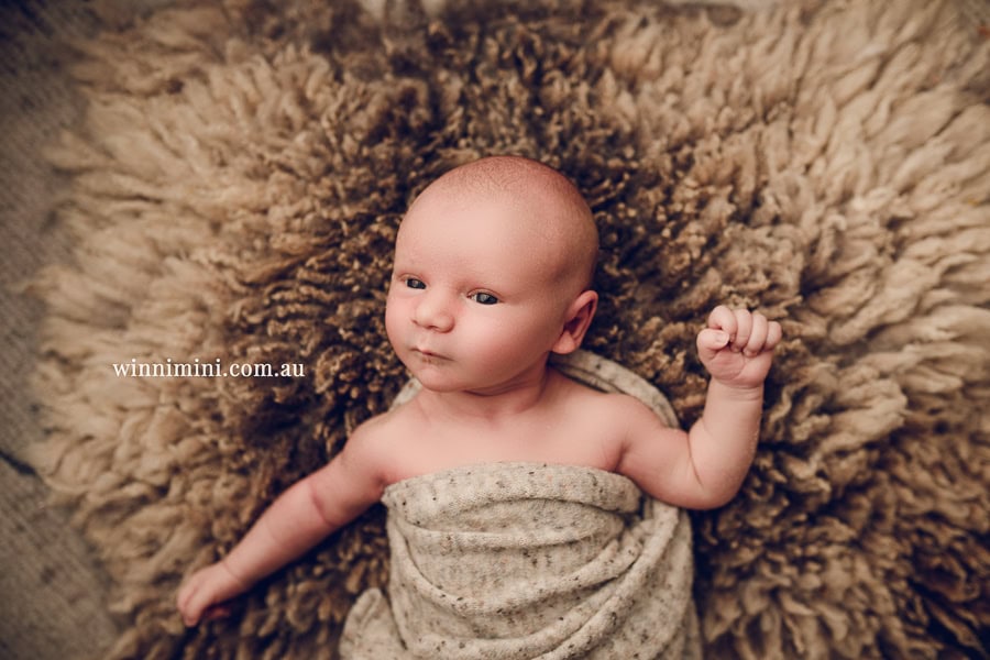 newborn baby family photographer tanha photography photograph photos photo babies gold coast brisbane the best family picture pictures tanha basile winni mini