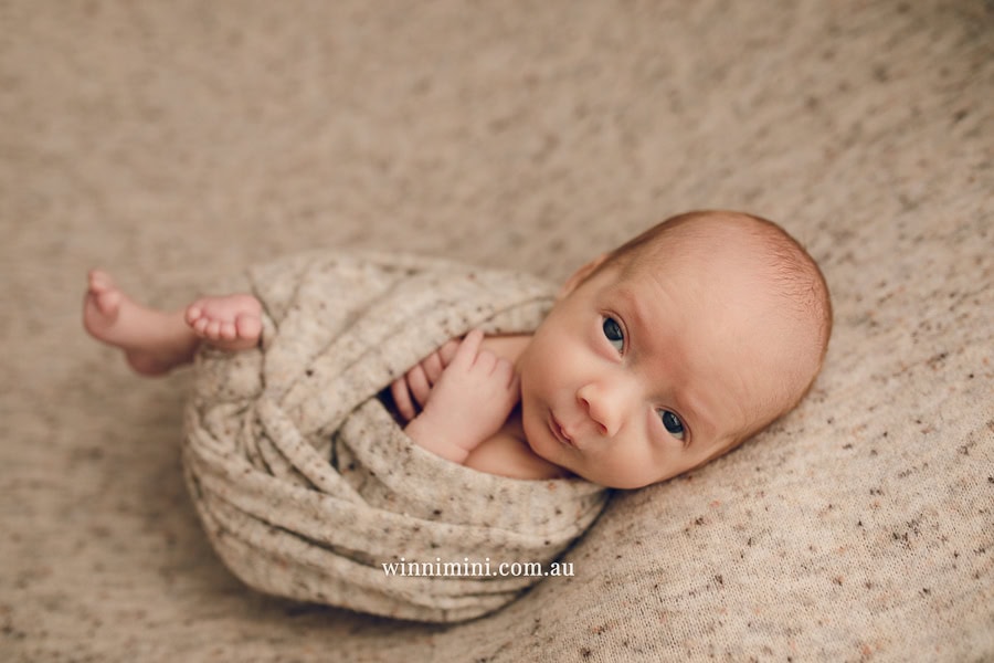 newborn baby family photographer tanha photography photograph photos photo babies gold coast brisbane the best family picture pictures tanha basile winni mini