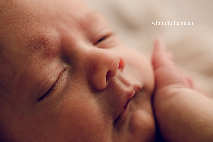 newborn baby family photographer tanha photography photograph photos photo babies gold coast brisbane the best family picture pictures tanha basile winni mini