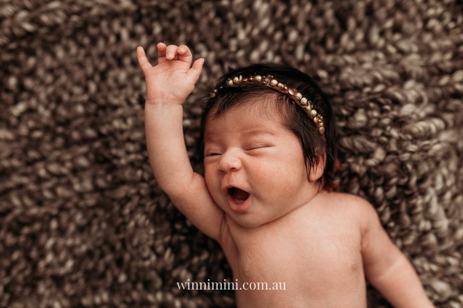 newborn baby family photographer tanha photography photograph photos photo babies gold coast brisbane the best family picture pictures tanha basile winni mini