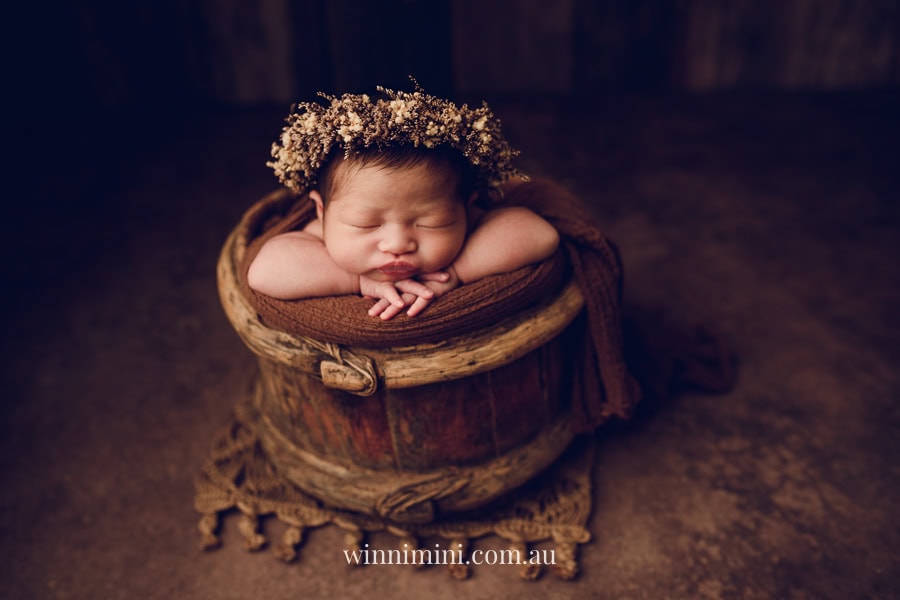 newborn baby family photographer tanha photography photograph photos photo babies gold coast brisbane the best family picture pictures tanha basile winni mini