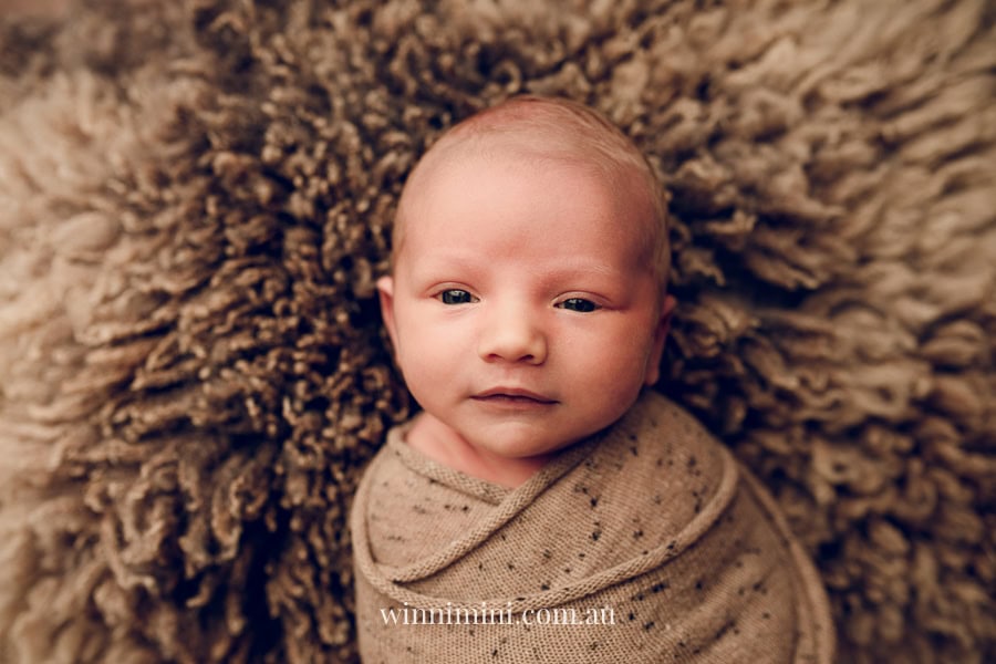 newborn baby family photographer tanha photography photograph photos photo babies gold coast brisbane the best family picture pictures tanha basile winni mini