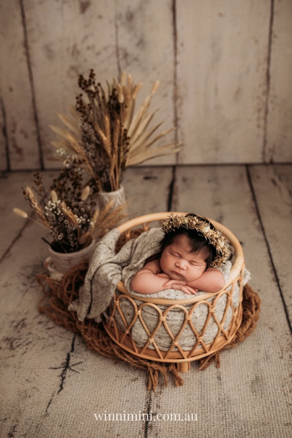 newborn baby family photographer tanha photography photograph photos photo babies gold coast brisbane the best family picture pictures tanha basile winni mini