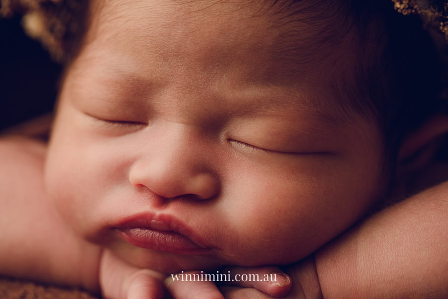 newborn baby family photographer tanha photography photograph photos photo babies gold coast brisbane the best family picture pictures tanha basile winni mini