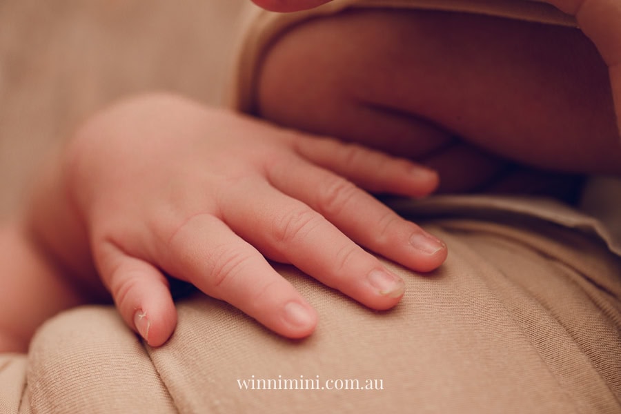 newborn baby family photographer tanha photography photograph photos photo babies gold coast brisbane the best family picture pictures tanha basile winni mini