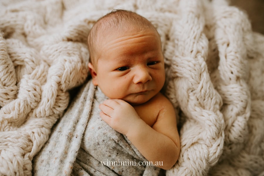 newborn baby family photographer tanha photography photograph photos photo babies gold coast brisbane the best family picture pictures tanha basile winni mini