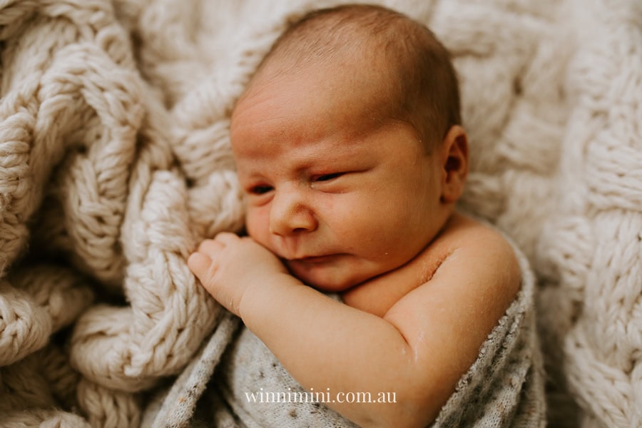 newborn baby family photographer tanha photography photograph photos photo babies gold coast brisbane the best family picture pictures tanha basile winni mini