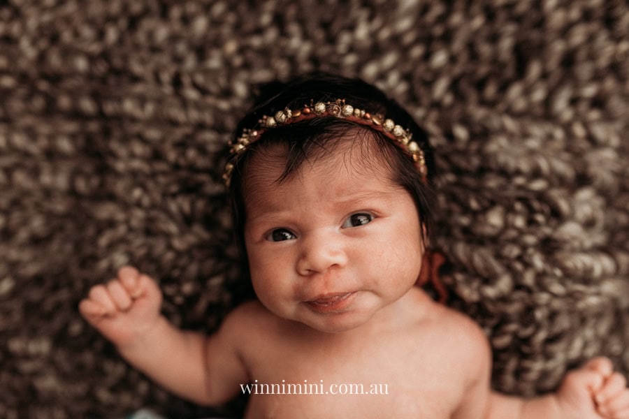 newborn baby family photographer tanha photography photograph photos photo babies gold coast brisbane the best family picture pictures tanha basile winni mini