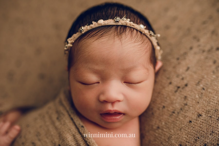 newborn baby family photographer tanha photography photograph photos photo babies gold coast brisbane the best family picture pictures tanha basile winni mini