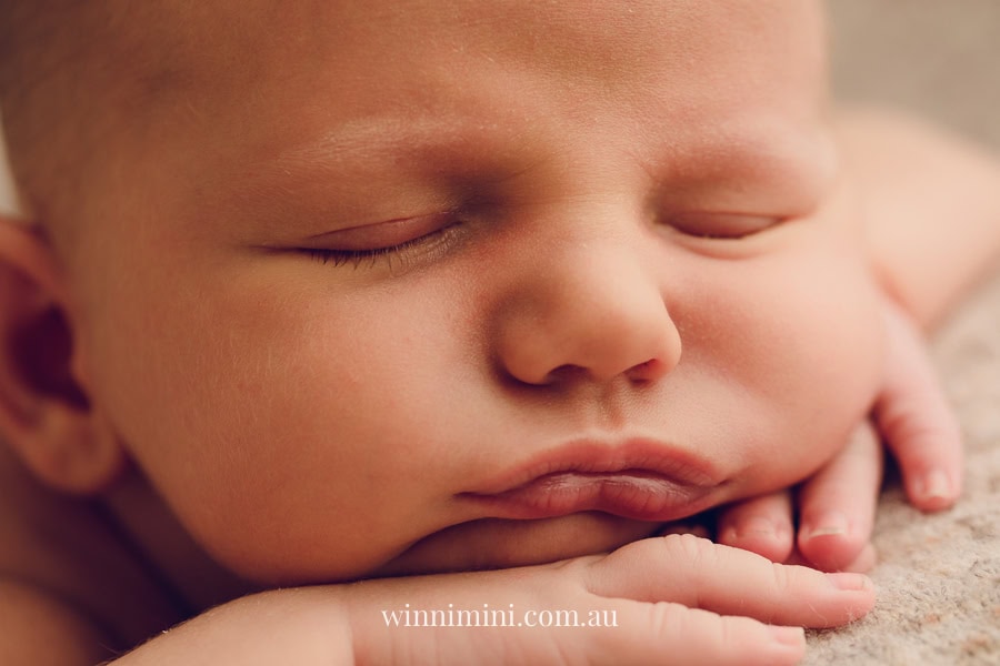 newborn baby family photographer tanha photography photograph photos photo babies gold coast brisbane the best family picture pictures tanha basile winni mini