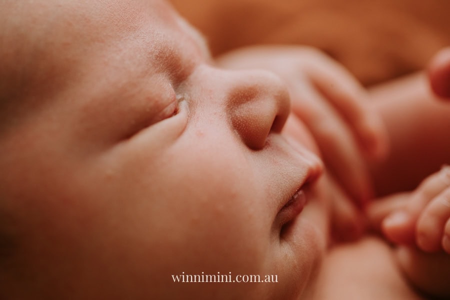 newborn baby family photographer tanha photography photograph photos photo babies gold coast brisbane the best family picture pictures tanha basile winni mini