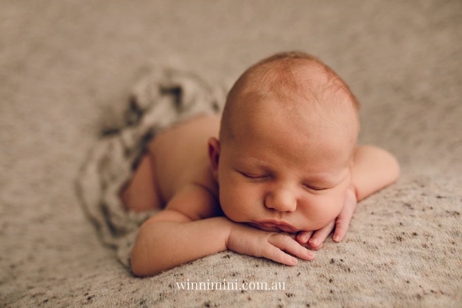 newborn baby family photographer tanha photography photograph photos photo babies gold coast brisbane the best family picture pictures tanha basile winni mini