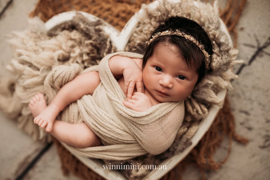 newborn baby family photographer tanha photography photograph photos photo babies gold coast brisbane the best family picture pictures tanha basile winni mini