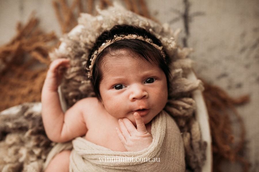 newborn baby family photographer tanha photography photograph photos photo babies gold coast brisbane the best family picture pictures tanha basile winni mini