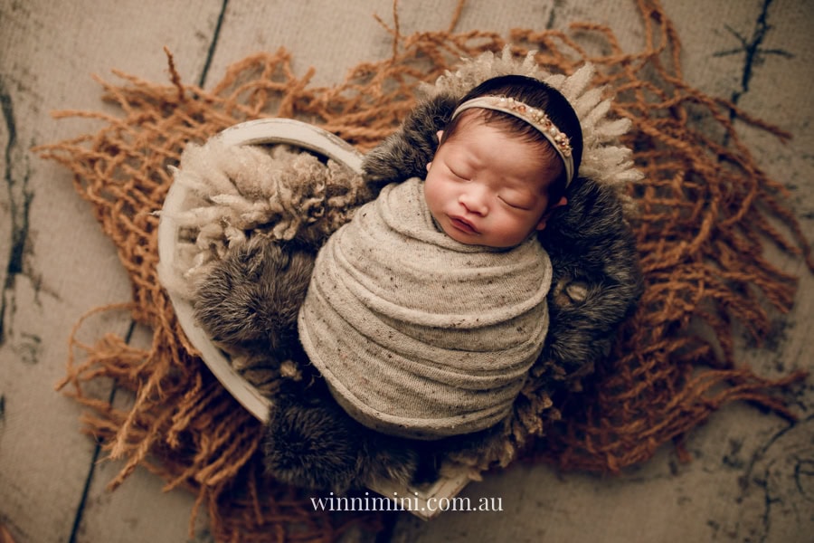 newborn baby family photographer tanha photography photograph photos photo babies gold coast brisbane the best family picture pictures tanha basile winni mini