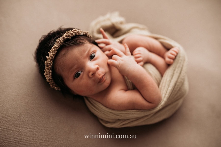 newborn baby family photographer tanha photography photograph photos photo babies gold coast brisbane the best family picture pictures tanha basile winni mini