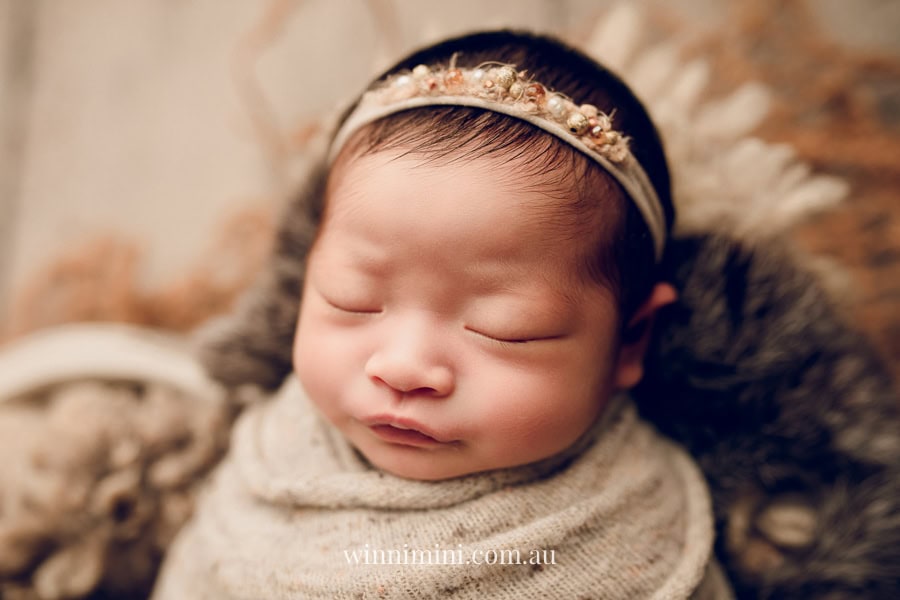 newborn baby family photographer tanha photography photograph photos photo babies gold coast brisbane the best family picture pictures tanha basile winni mini
