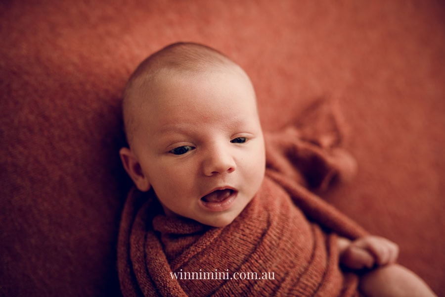 newborn baby family photographer tanha photography photograph photos photo babies gold coast brisbane the best family picture pictures tanha basile winni mini