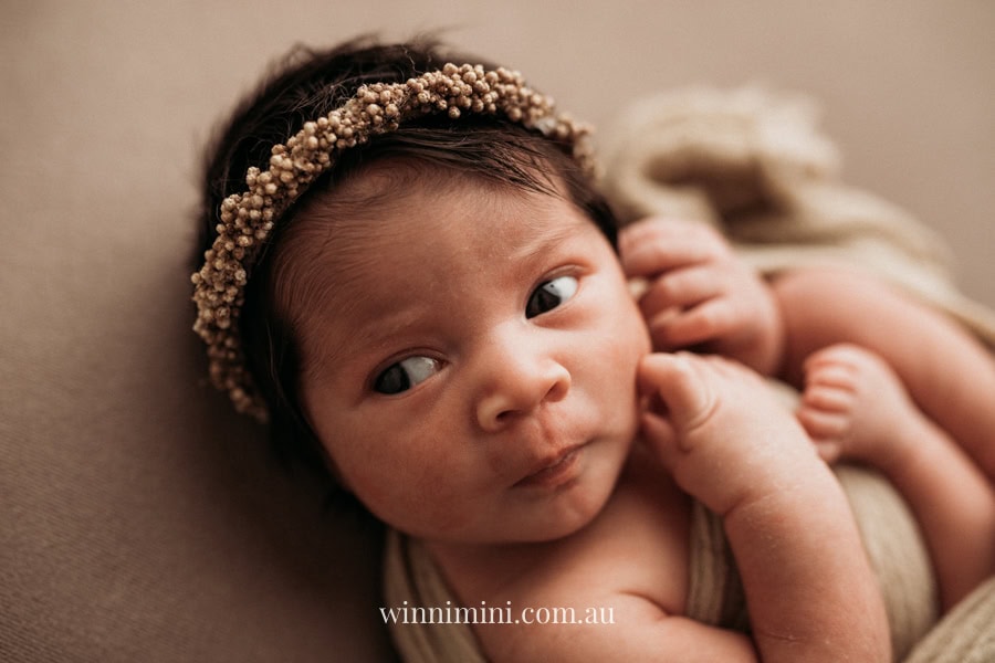 newborn baby family photographer tanha photography photograph photos photo babies gold coast brisbane the best family picture pictures tanha basile winni mini