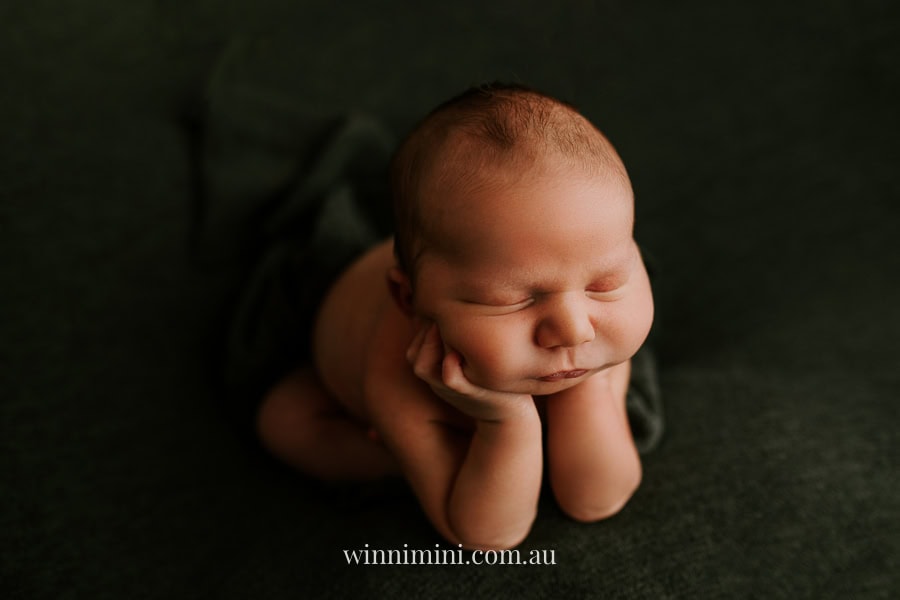 newborn baby family photographer tanha photography photograph photos photo babies gold coast brisbane the best family picture pictures tanha basile winni mini