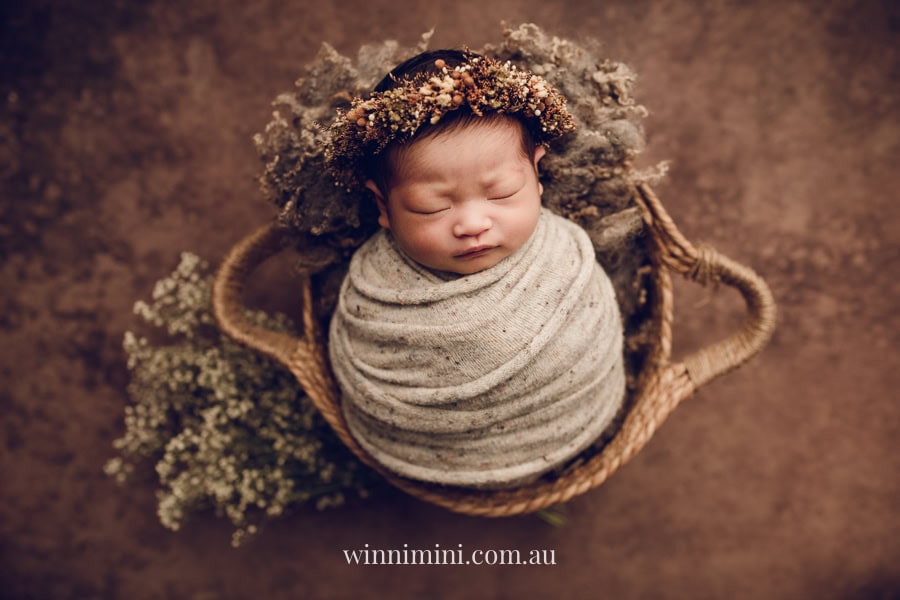newborn baby family photographer tanha photography photograph photos photo babies gold coast brisbane the best family picture pictures tanha basile winni mini