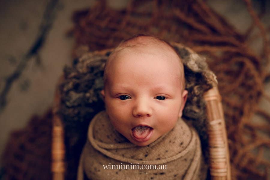 newborn baby family photographer tanha photography photograph photos photo babies gold coast brisbane the best family picture pictures tanha basile winni mini