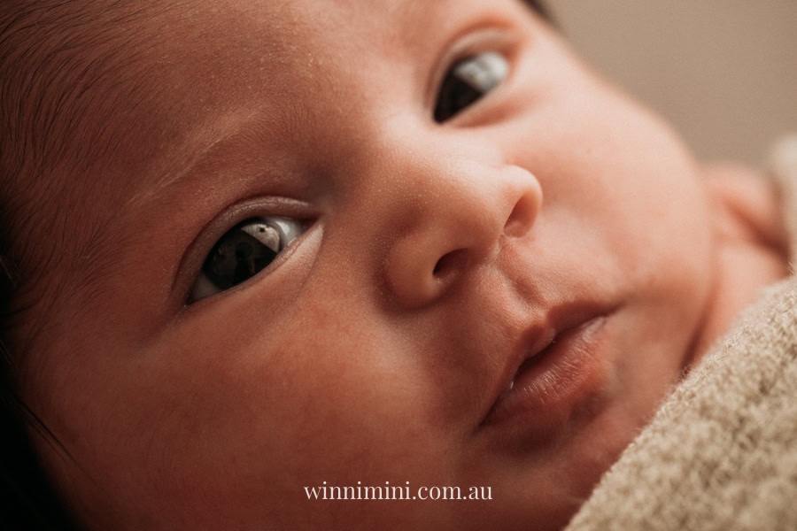 newborn baby family photographer tanha photography photograph photos photo babies gold coast brisbane the best family picture pictures tanha basile winni mini