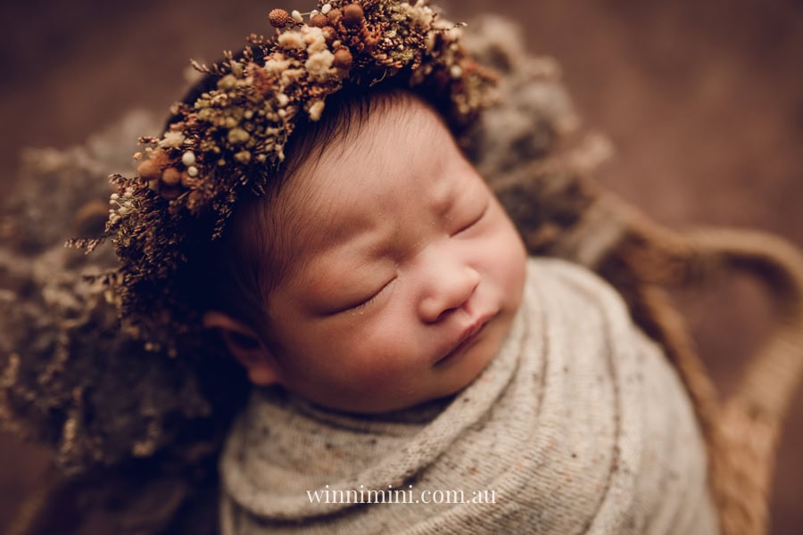 newborn baby family photographer tanha photography photograph photos photo babies gold coast brisbane the best family picture pictures tanha basile winni mini