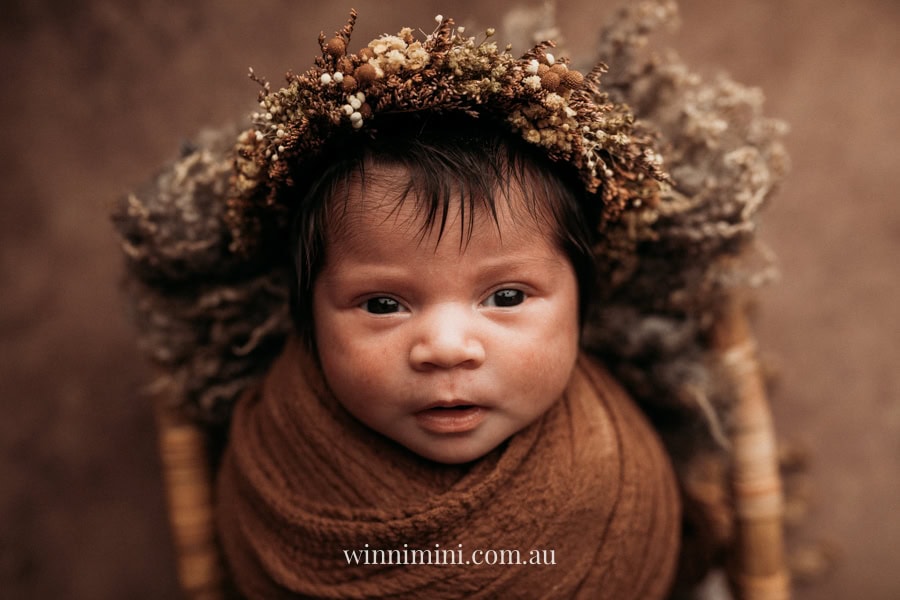 newborn baby family photographer tanha photography photograph photos photo babies gold coast brisbane the best family picture pictures tanha basile winni mini