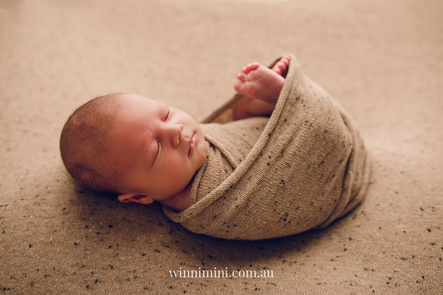 newborn baby family photographer tanha photography photograph photos photo babies gold coast brisbane the best family picture pictures tanha basile winni mini