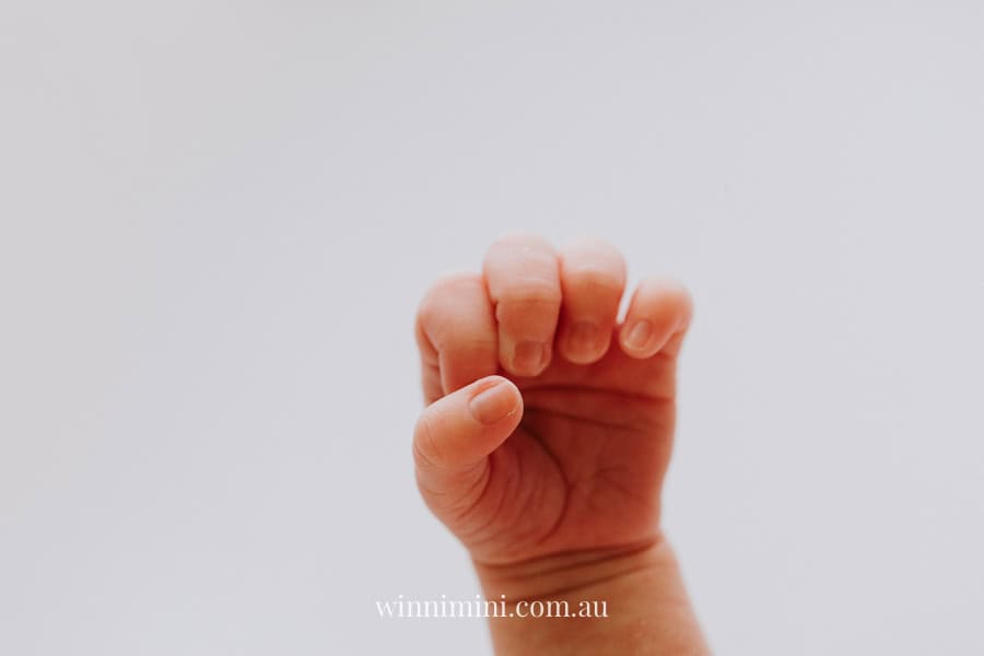 newborn family baby family photos photography pindara bunting obstetrician mater mothers