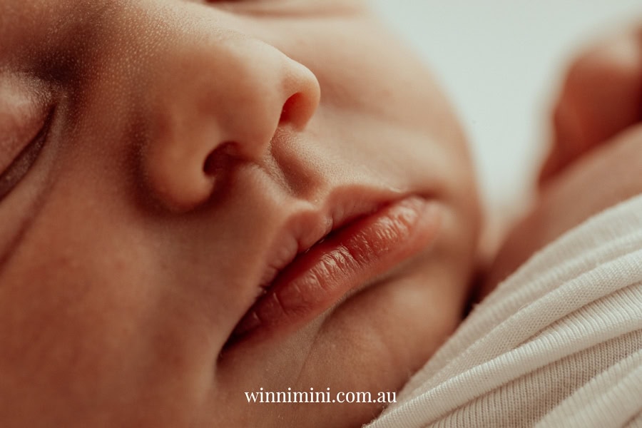 newborn family baby family photos photography pindara bunting obstetrician mater mothers