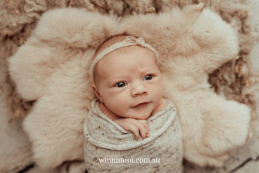 newborn family baby family photos photography pindara bunting obstetrician mater mothers