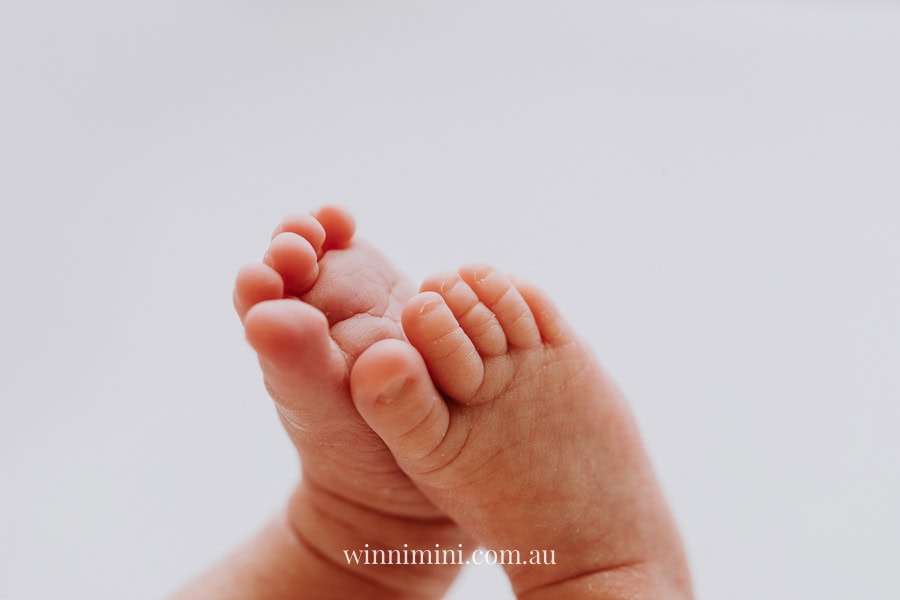 newborn family baby family photos photography pindara bunting obstetrician mater mothers