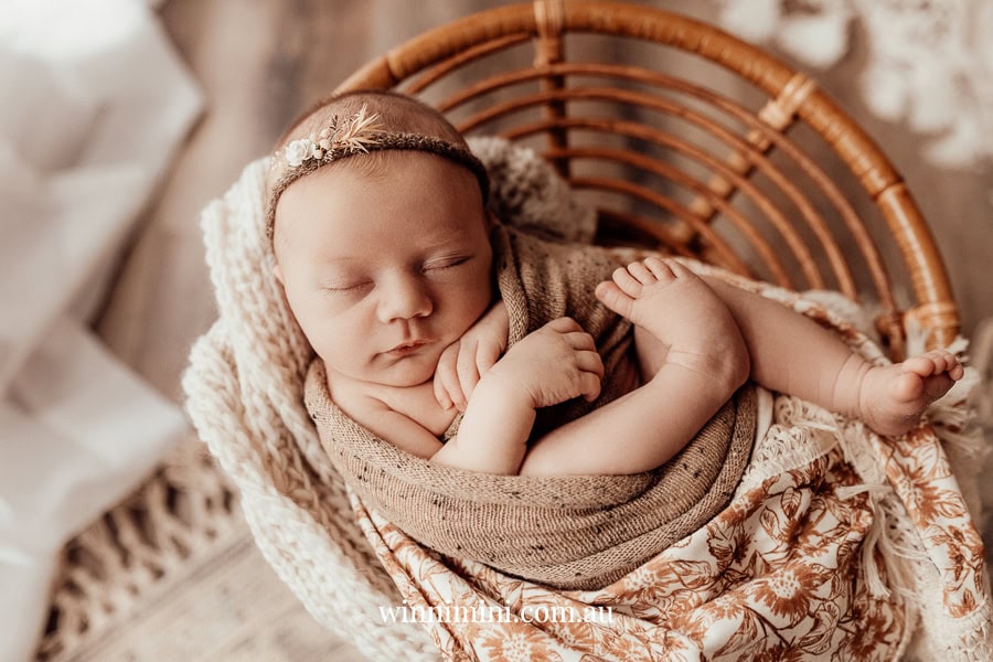 newborn family baby family photos photography pindara bunting obstetrician