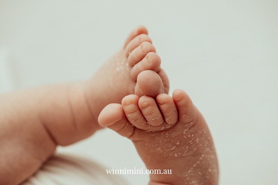 newborn family baby family photos photography pindara bunting obstetrician mater mothers