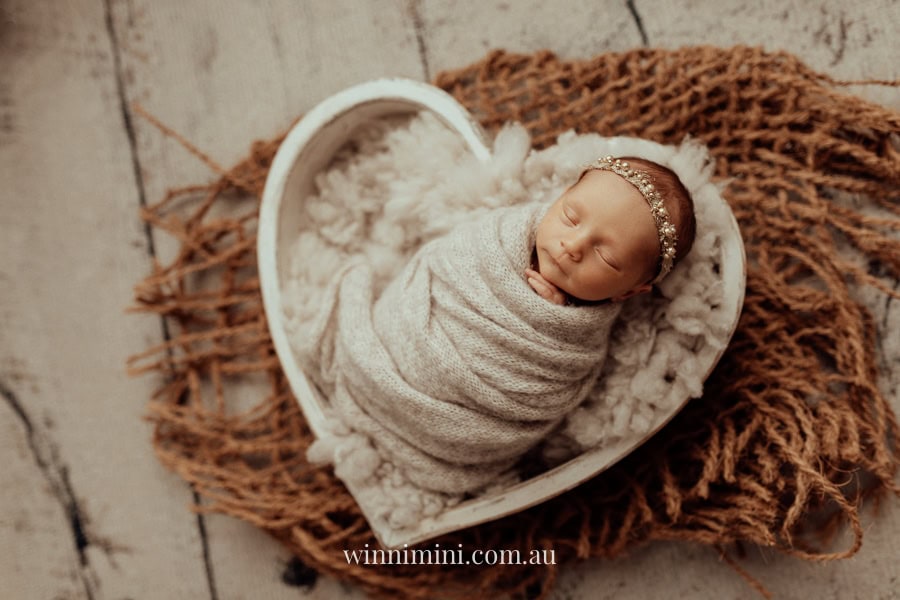 newborn family baby family photos photography pindara bunting obstetrician mater mothers