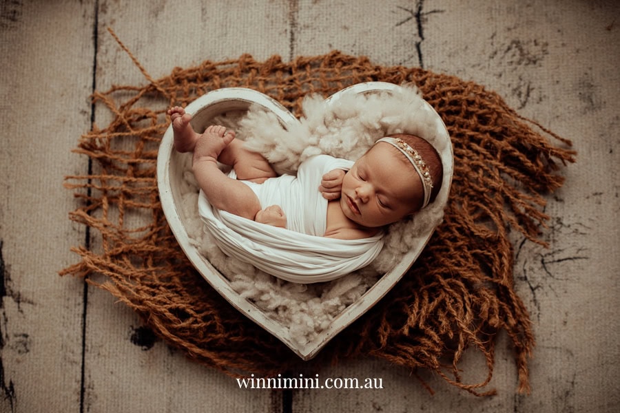 newborn family baby family photos photography pindara bunting obstetrician mater mothers