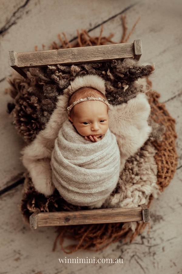 newborn family baby family photos photography pindara bunting obstetrician mater mothers
