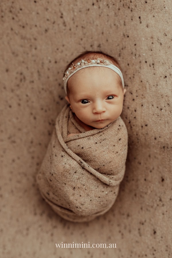 newborn family baby family photos photography pindara bunting obstetrician mater mothers