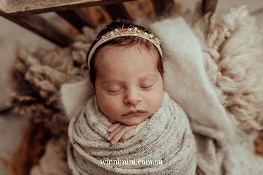 newborn family baby family photos photography pindara bunting obstetrician mater mothers