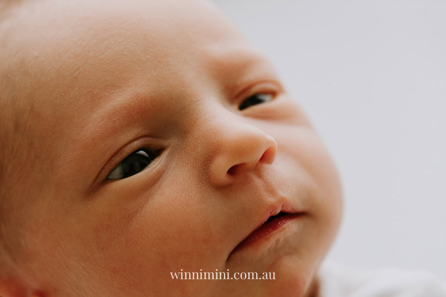newborn family baby family photos photography pindara bunting obstetrician mater mothers